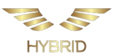 Hybrid Systems