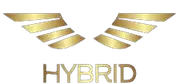 Hybrid Systems